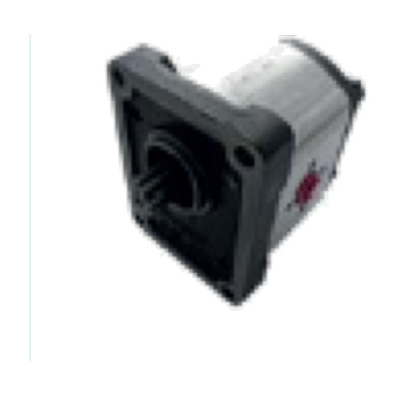 Eicher EM500, EM600 Pompe Hydraulique (1PN168CSS3/449)