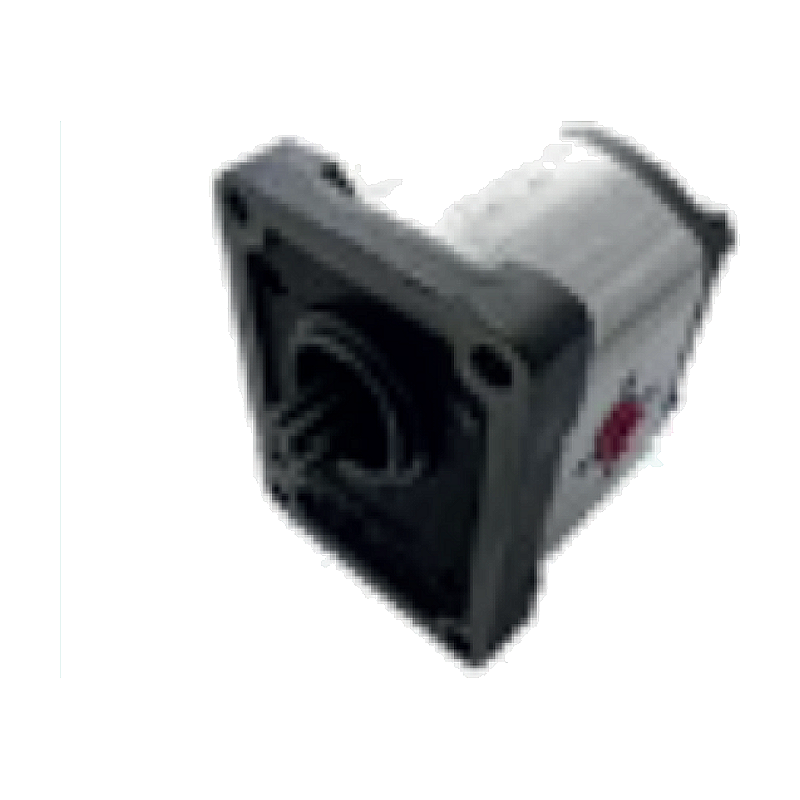 Lindner 420SA, 420A, 450, 520, 550, 620, 1650, 1650A, 1700A Pompa Idraulica (1PN168CSS3/449)